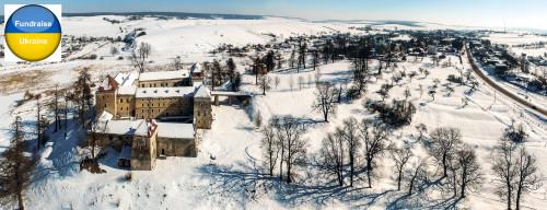 Svirzh Castle (2)